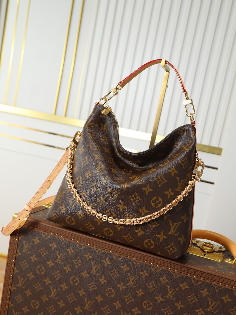 Sac A Main Louis Vuitton Multipass