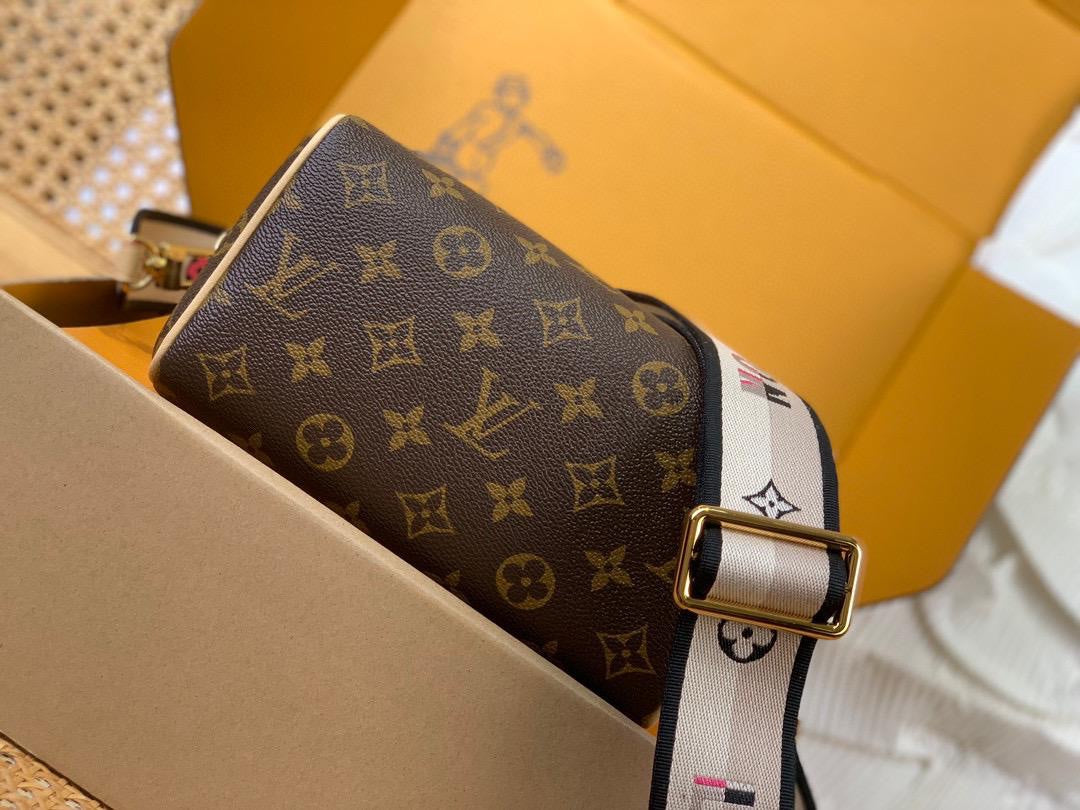 Sac Louis Vuitton Speedy 20