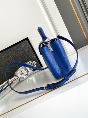 Sac A Main Louis Vuitton Capucines Bleu