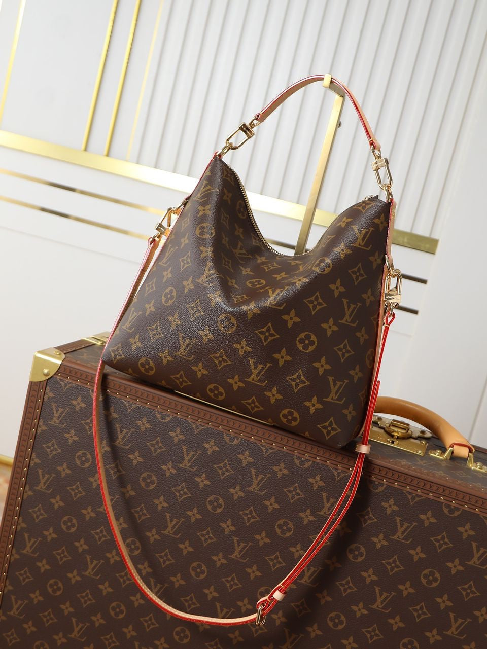 Sac A Main Louis Vuitton Multipass