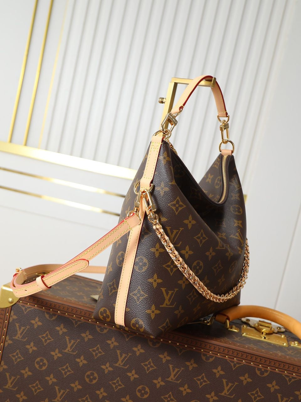 Sac A Main Louis Vuitton Multipass