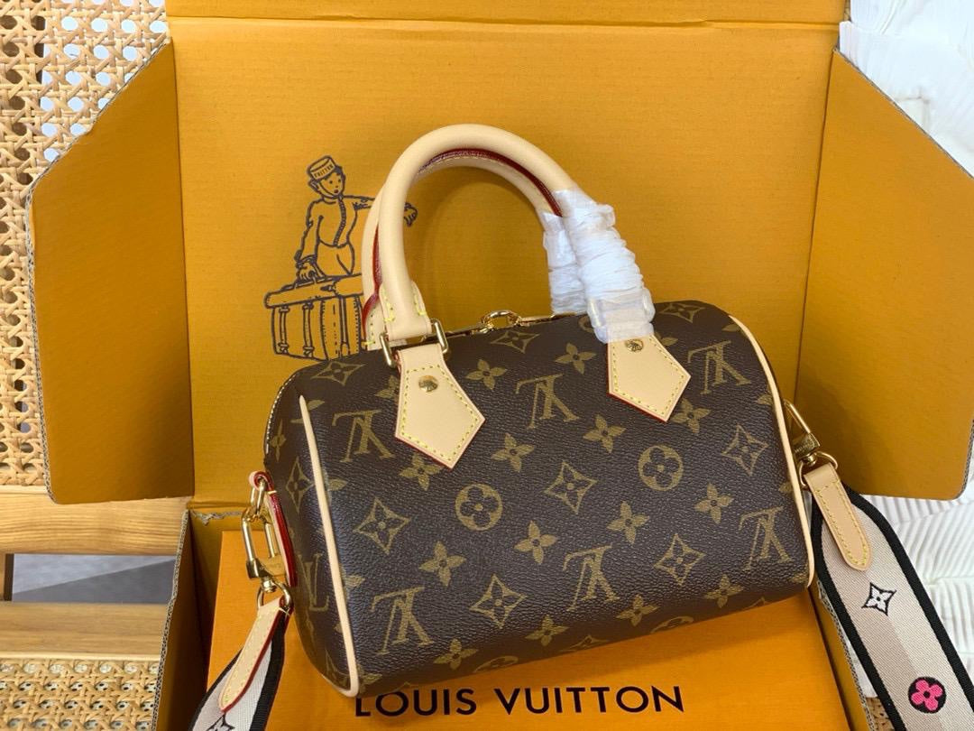 Sac Louis Vuitton Speedy 20
