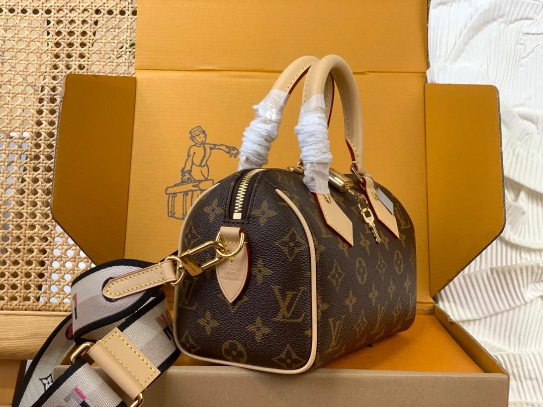 Sac Louis Vuitton Speedy 20