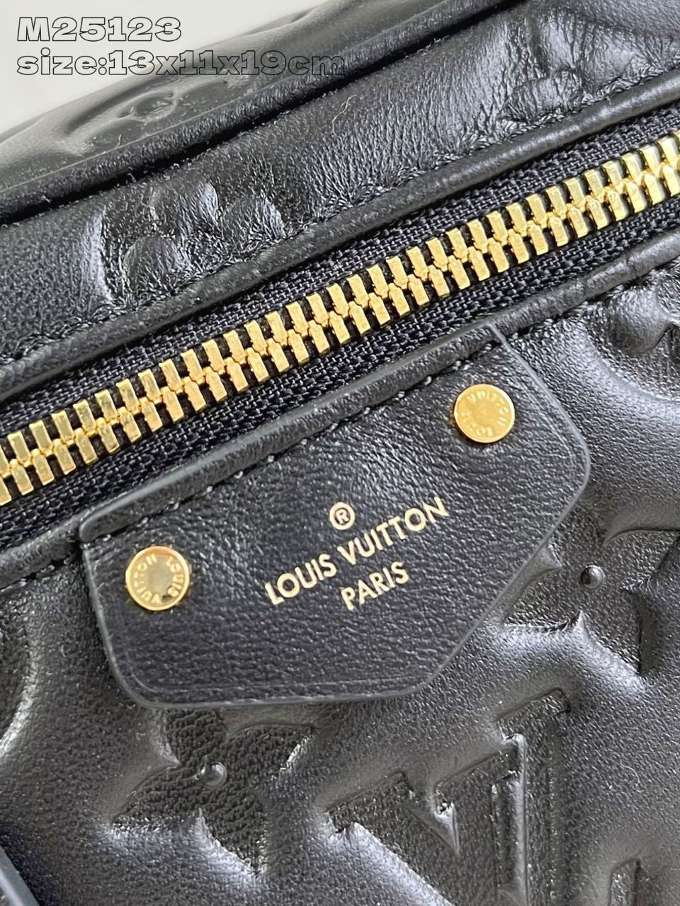 Sac A Main Louis Vuitton Vanity Noir