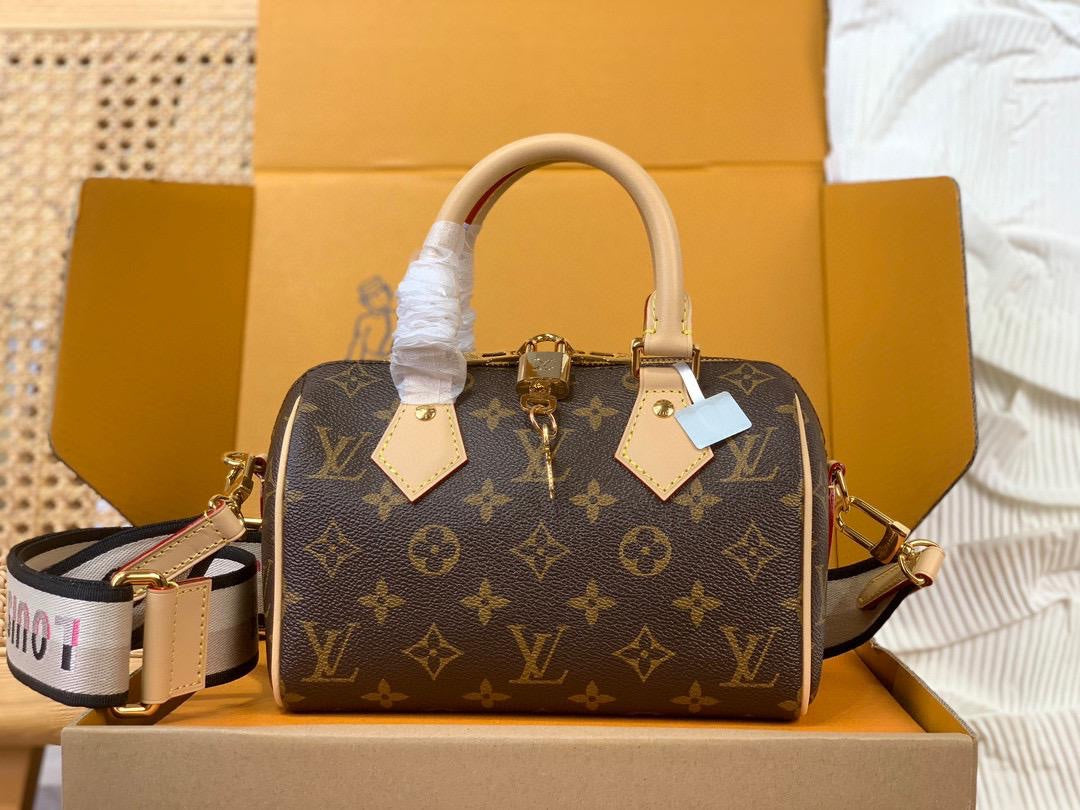 Sac Louis Vuitton Speedy 20