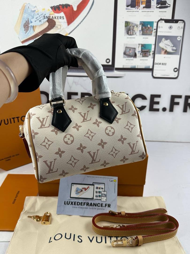 Sac A Main Louis Vuitton Speedy Beige